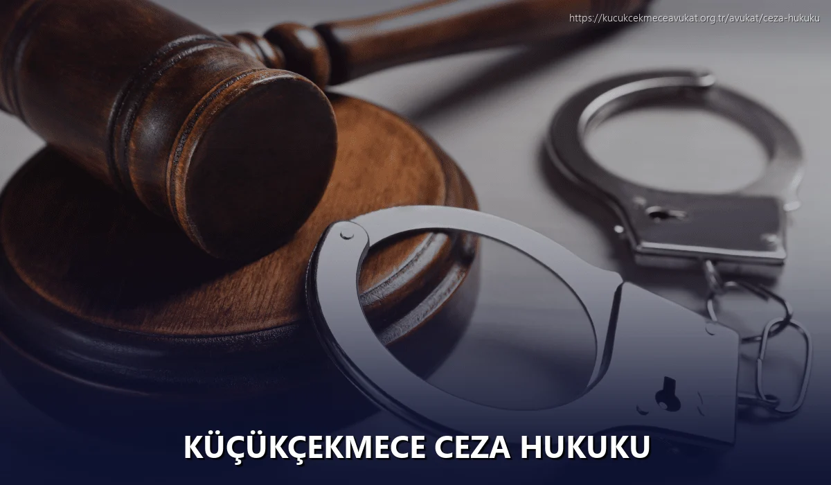Küçükçekmece Ceza Hukuku